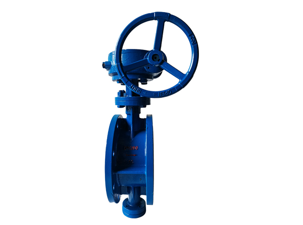 雙偏心法蘭(lán)蝶閥