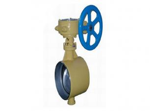 焊接保溫(wēn)蝶閥